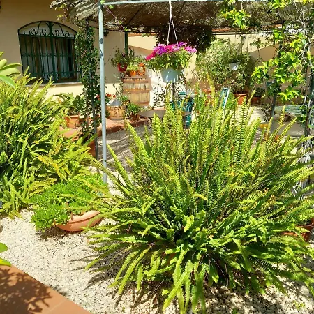 Rosangela 3* Ταορμίνα