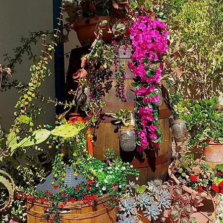 Rosangela Bed and Breakfast